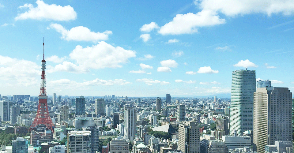 ドクターメイト会社情報